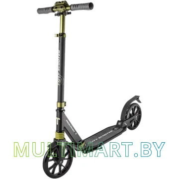 Самокат Tech Team City Scooter 2020 (черный)